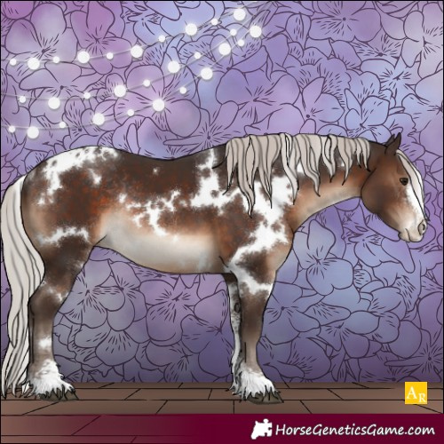 Horse Color:White Spotted Silver Brown Sabino Rabicano 