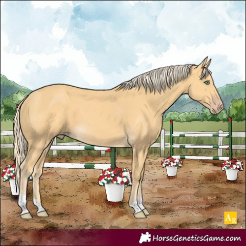 Horse Color:Gold Cream Champagne 