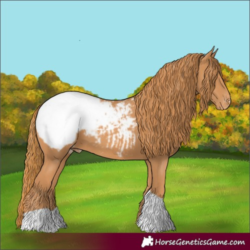 Horse Color:Chestnut Tobiano Snowcap 