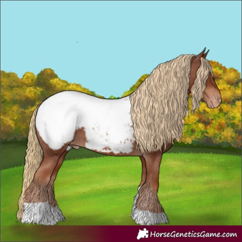 Horse Color:Chestnut Tobiano Snowcap