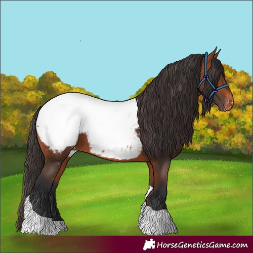 Horse Color:Bay Tobiano Snowcap 