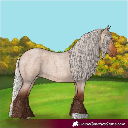 Horse Color:Silver Bay Roan Dun 