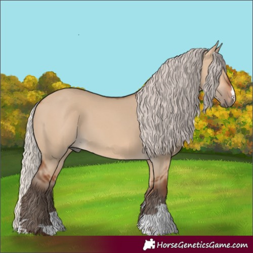Horse Color:Silver Bay Dun 