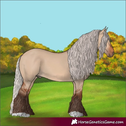 Horse Color:Silver Bay Dun 