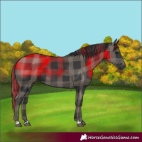 Horse Color:Plaid Black