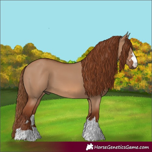 Horse Color:Red Dun 