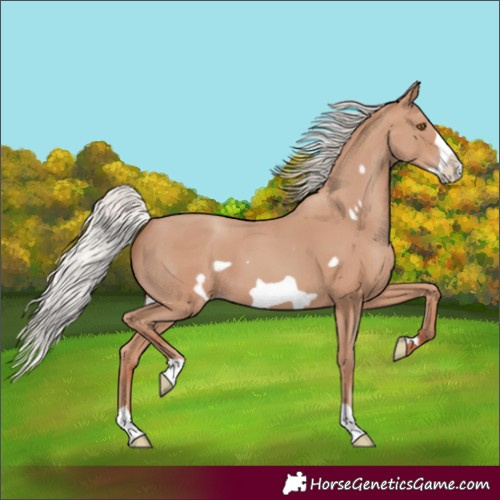 Horse Color:Silver Classic Champagne Frame 