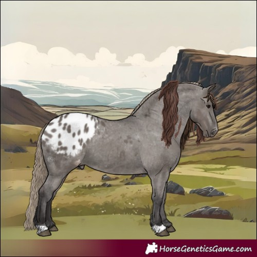 Horse Color:Smoky Grullo Appaloosa 