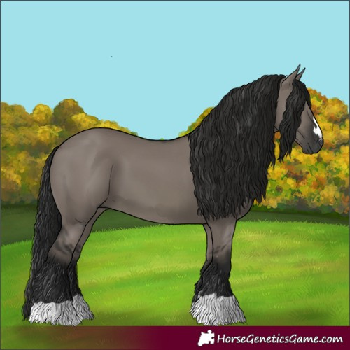 Horse Color:Gray Grullo 