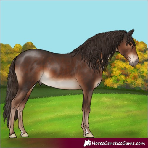 Horse Color:Liver Chestnut 