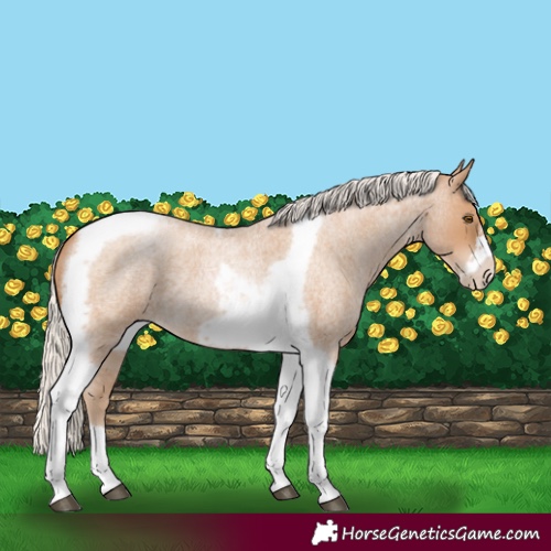 Horse Color:Silver Blue Roan Pearl Tobiano Frame 