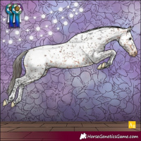 Horse Color:White Spotted Bay Sabino Appaloosa Rabicano
