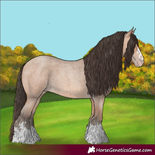 Horse Color:Amber Champagne Roan 