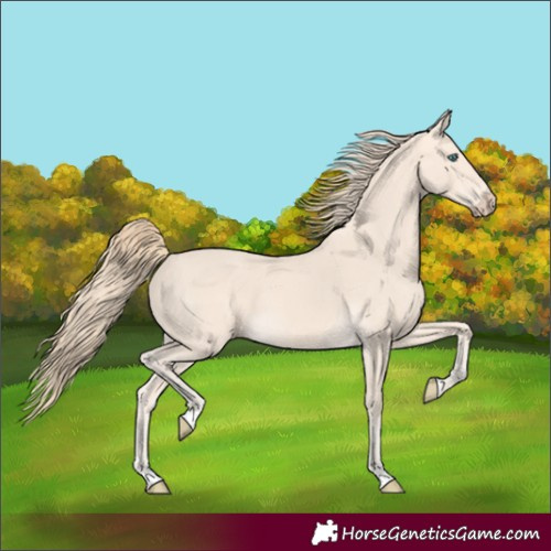Horse Color:Perlino