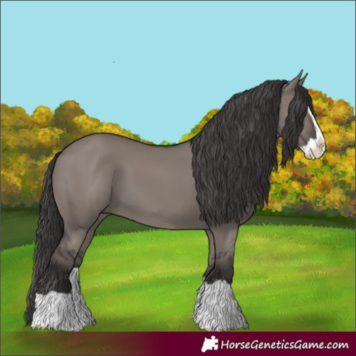 Horse Color:Smoky Grullo Splash 