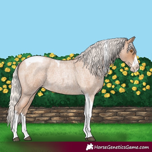 Horse Color:Silver Blue Roan Pearl Tobiano Frame 