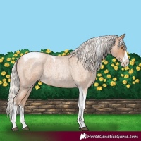 Horse Color:Silver Blue Roan Pearl Tobiano Frame