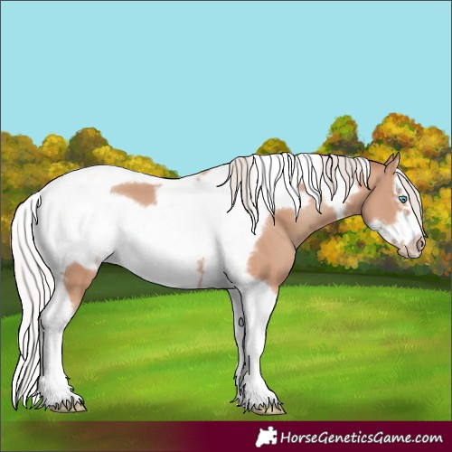Horse Color:Silver Classic Champagne Splash Tobiano Frame 