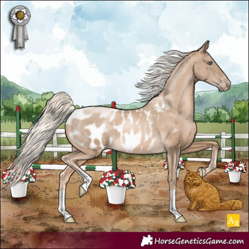 Horse Color:Chocolate Palomino Pearl Appaloosa 