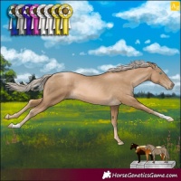 Horse Color:Chocolate Palomino Pearl
