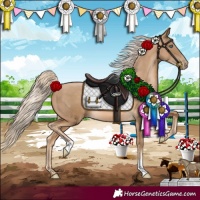 Horse Color:Chocolate Palomino Pearl 