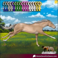 Horse Color:Chocolate Palomino Pearl