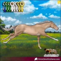 Horse Color:Chocolate Palomino Pearl 