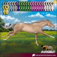 Horse Color:Chocolate Palomino Pearl 