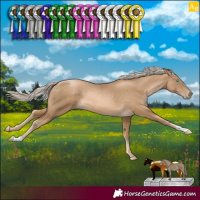 Horse Color:Chocolate Palomino Pearl 