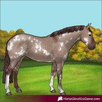 Horse Color:White Spotted Chocolate Brown Dun Tobiano