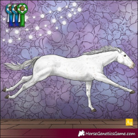Horse Color:Silver Brown Sabino 