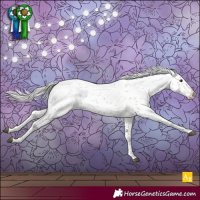 Horse Color:Silver Brown Sabino 