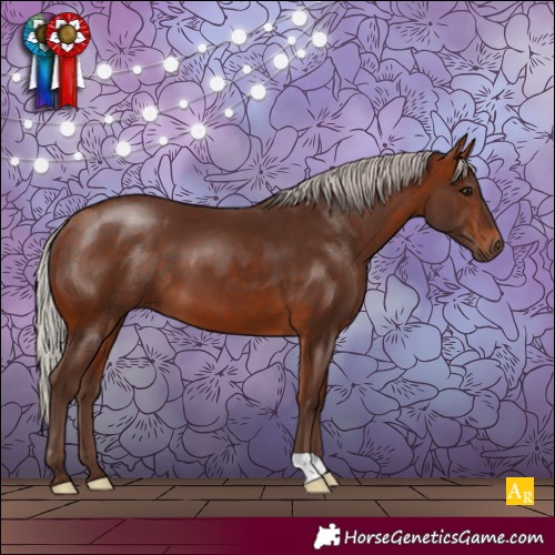 Horse Color:Silver Bay 