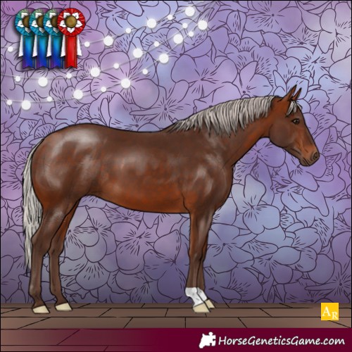 Horse Color:Silver Bay 