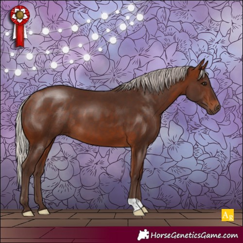 Horse Color:Silver Bay 