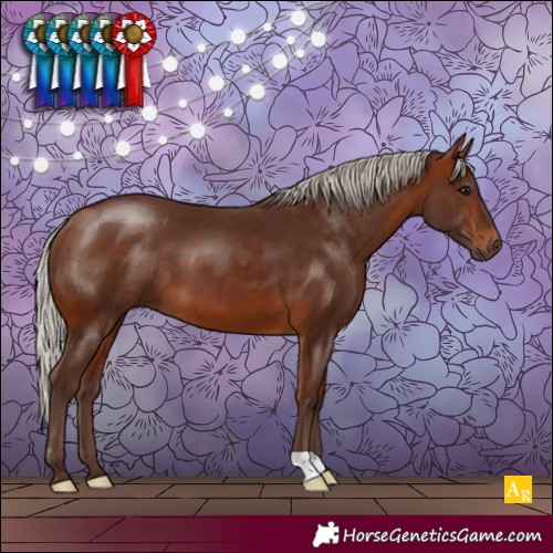 Horse Color:Silver Bay 