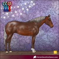 Horse Color:Silver Bay