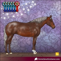 Horse Color:Silver Bay 