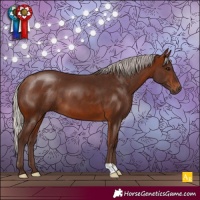 Horse Color:Silver Bay 