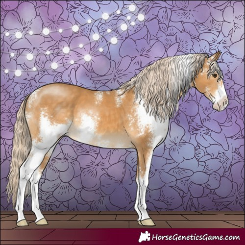 Horse Color:Palomino Sabino