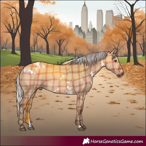 Horse Color:Plaid White Spotted Silver Brown Dun