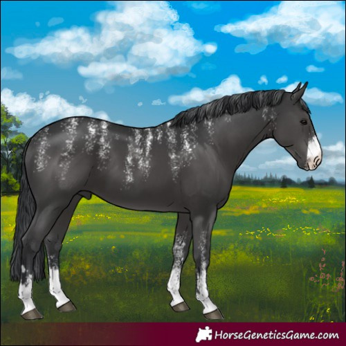 Horse Color:Powder White Black 