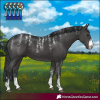 Horse Color:Powder White Black
