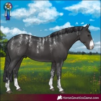 Horse Color:Powder White Black