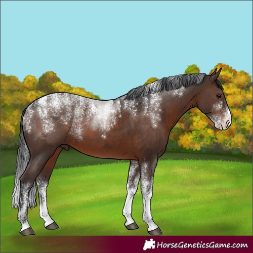 Horse Color:Powder White Brown 