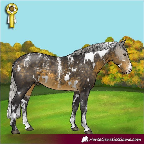 Horse Color:Powder White White Spotted Silver Buckskin 