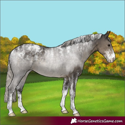 Horse Color:Powder White Silver Smoky Black 