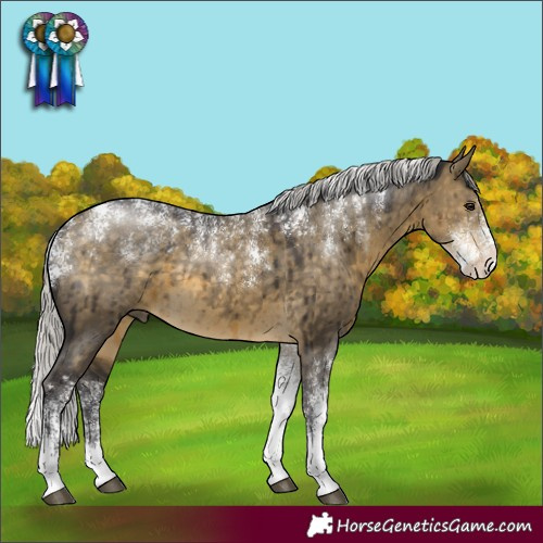 Horse Color:Powder White Silver Buckskin Dun Brindle 