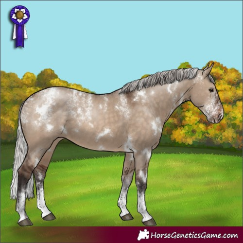 Horse Color:Powder White White Spotted Silver Brown Dun 