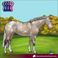 Horse Color:Powder White White Spotted Silver Brown Dun